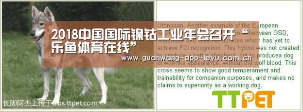 2018中国国际镍钴工业年会召开“乐鱼体育在线”