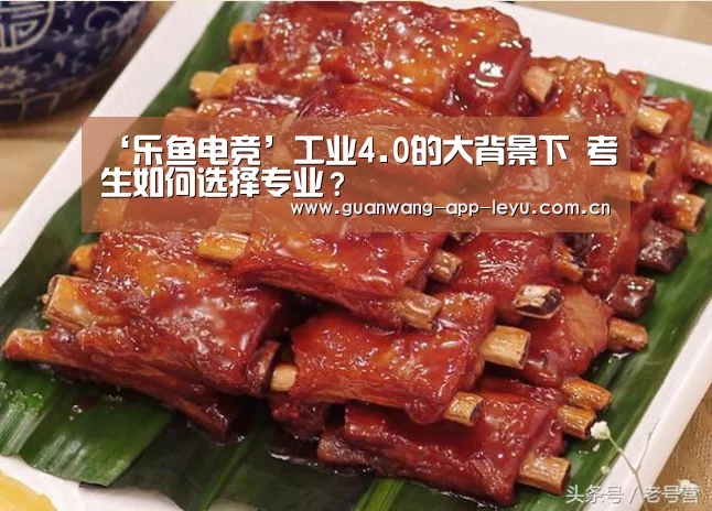 ‘乐鱼电竞’工业4.0的大背景下 考生如