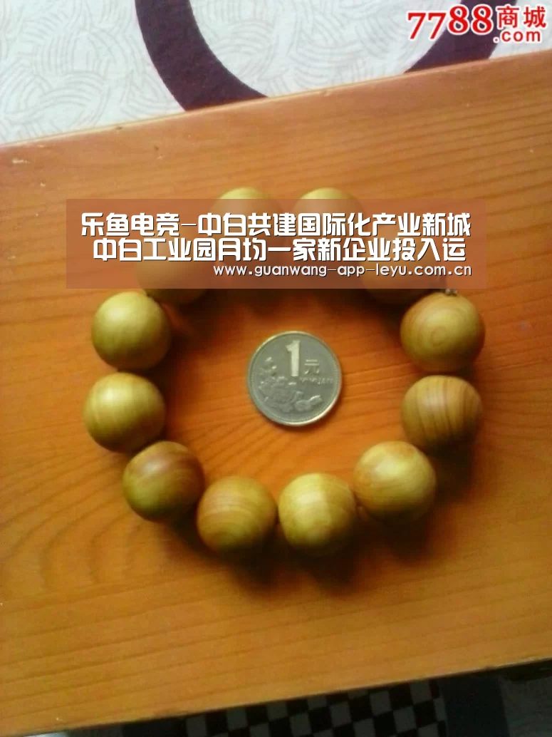 乐鱼电竞